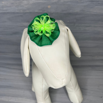 Pinch Me - Tedi Bows - 12 Medium Bows