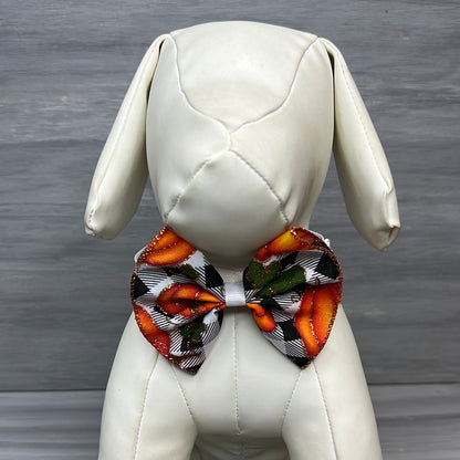 Pumpkin Patch - Jumbo Bow Tie Neckwear - 4 Large Neckties