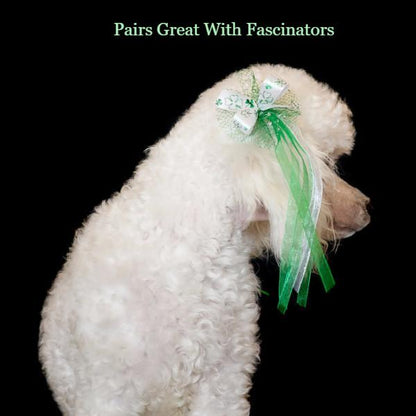Poodle with a Bardel St Patrick's Grooming Bow