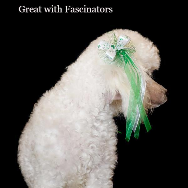 Poodle with a Bardel St Patrick's Grooming Bow