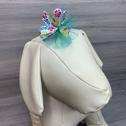Groovy Collection - 50 Medium Bows