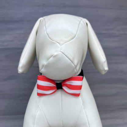 Pumpkin Patch - 8 Adjustable Bow Tie Neckwear