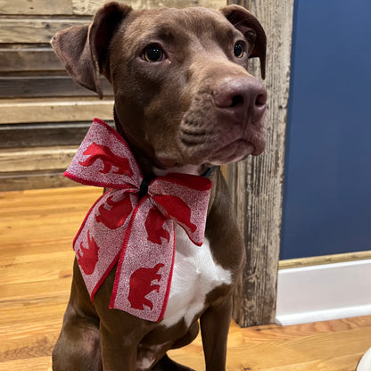 Blizzard Bear - Beautiful Belle - 3 Large Ties