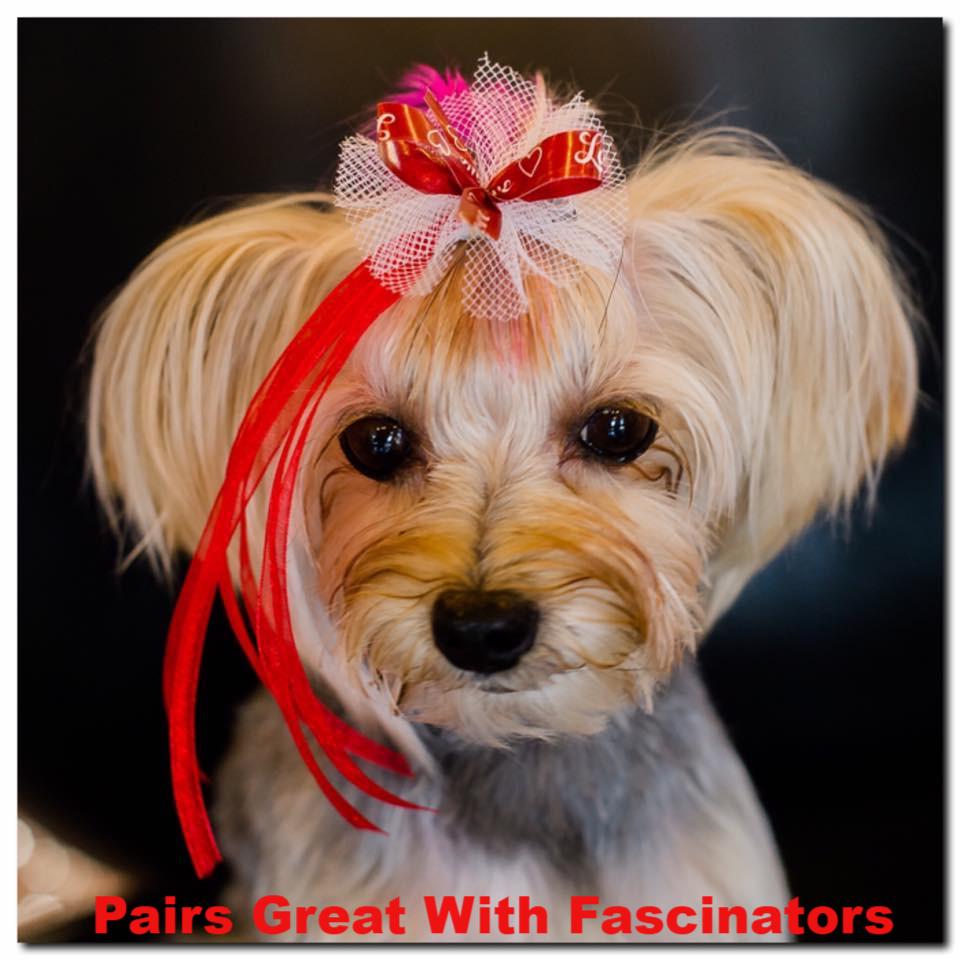 Valentine Collection - 50 Medium Bows