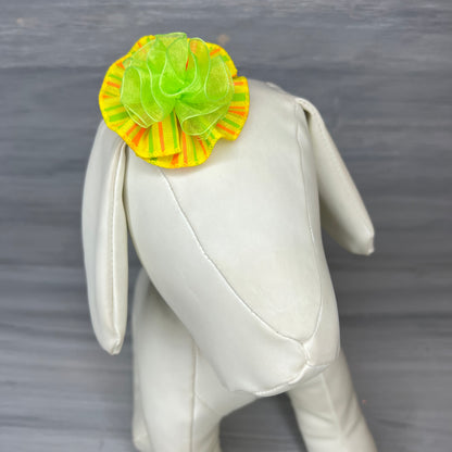 Zesty Lime - Tedi Bows - 12 Medium Bows